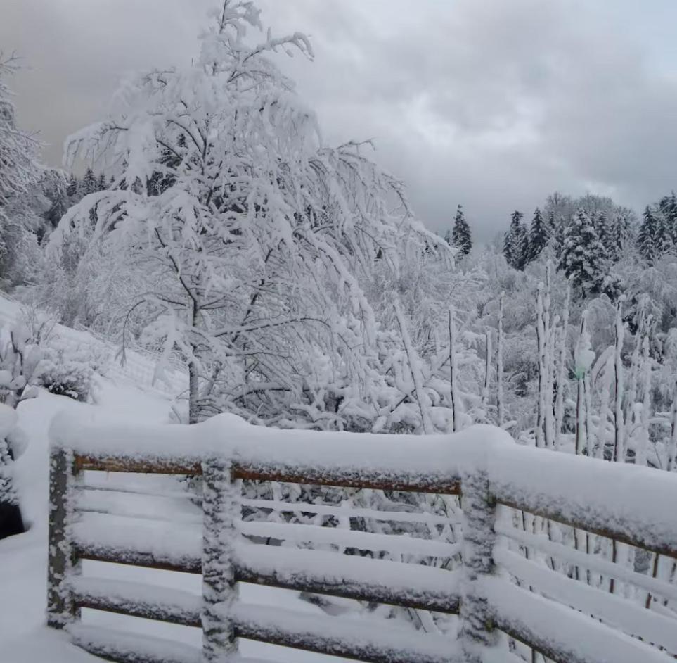 Gite La Bergerie Chalet Independant Kirchberg Bagian luar foto